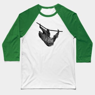 Linnaeus's two-toed sloth Baseball T-Shirt